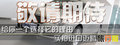 迈腾(进口) 大众(进口) 迈腾图片