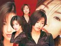 卡罗拉 酒井法子图片