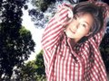 卡罗拉 酒井法子图片