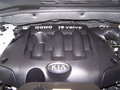 狮跑Sportage(进口) 起亚（进口） 狮跑Sportage图片