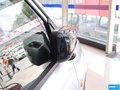 赛马 图片