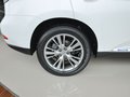 雷克萨斯RX 2009款 3.5 CVT 图片