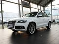 奥迪Q5(进口) Q5 3.2 FSI Quattro 运动版 2010款图片