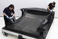 Gallardo 图片