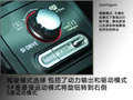 翼豹 图片