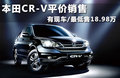 本田CR-V 图片
