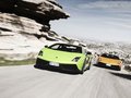 Gallardo 图片