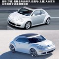 甲壳虫 图片