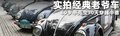甲殼蟲(chóng) 圖片