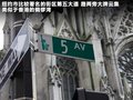 甲殼蟲 圖片