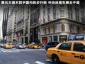 甲殼蟲 圖片