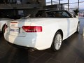奥迪A5 2010款 A5 2.0T Cabriolet图片