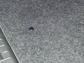 旗云3 2010款 1.5 MT 舒適圖片