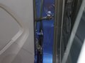 福克斯 图片