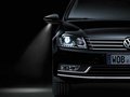 Passat 图片
