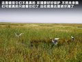 威志V2 图片