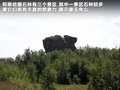 威志V2 图片