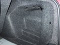 明銳 2010款 2.0TSI DSG RS圖片