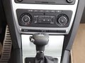 明锐 2010款 2.0TSI DSG 明锐RS图片