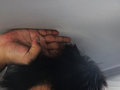 英菲尼迪QX文章配图