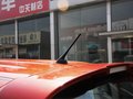 利亚纳 图片