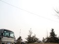 碧莲 2011款 碧莲图片