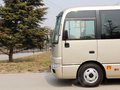 碧蓮 2011款 碧蓮圖片