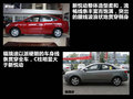 福瑞迪 圖片
