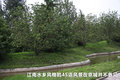 宝马3系 图片