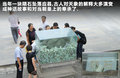 奥迪Q5 图片