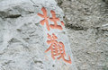 奥迪Q5 图片