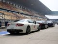 GranTurismo 玛莎拉蒂 GTMC Stradale图片