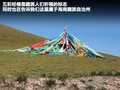 海马骑士 图片