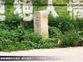 马自达8 图片