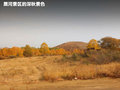 马自达8 图片