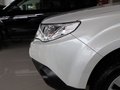 森林人 2011款 2.0 AT 豪华版图片