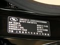 SLS赛威 2011款 SLS 赛威 2.0T 豪华型图片