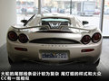 大蛇 图片