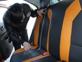 MG3 2011款 MG3 1.5 AMT 精英版图片