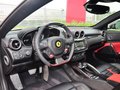 FF 6.3L V12 2012款图片