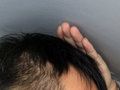 风朗 图片