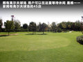奥迪A6 旅行版 图片