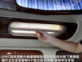 SAVANA 图片