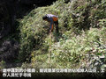 瑞风 图片