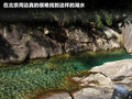 瑞风 图片