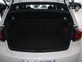高尔夫(进口) 2011款 2.0TSI DSG 高尔夫R图片