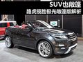 揽胜极光（进口） 图片