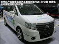 聆风 图片