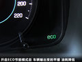 科帕奇(进口) 图片