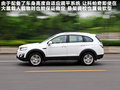 科帕奇(进口) 图片